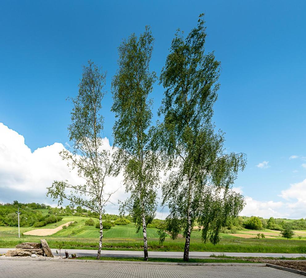 Agrohotel Tri Brezy Hrustin 外观 照片